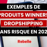 13 Exemples de Produit Winner Dropshipping 2023 Sans Risque; produit winner dropshipping 2023