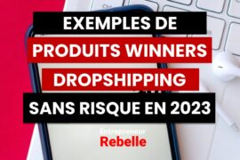 13 Exemples de Produit Winner Dropshipping 2023 Sans Risque; produit winner dropshipping 2023