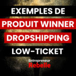 13 Exemples de Produit Winner Dropshipping Low-Ticket