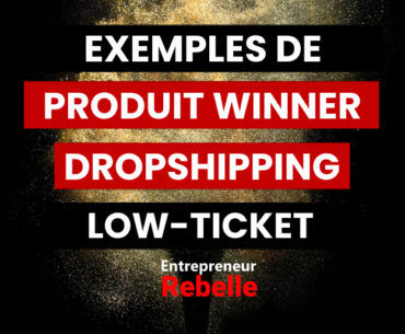 13 Exemples de Produit Winner Dropshipping Low-Ticket