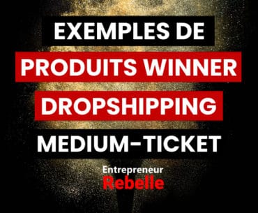14 Exemples de Produits Winners Dropshipping Medium-Ticket