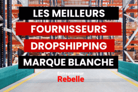 Fournisseur Dropshipping Marque Blanche