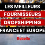 fournisseurs dropshipping france
