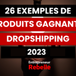 26 Exemples de produit gagnant Dropshipping 2023